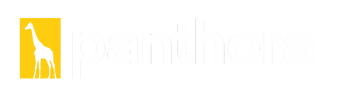 Footer logotype